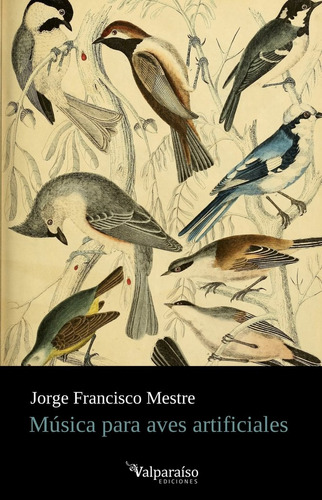 Musica Para Aves Artificiales - Mestre,jorge Francisco