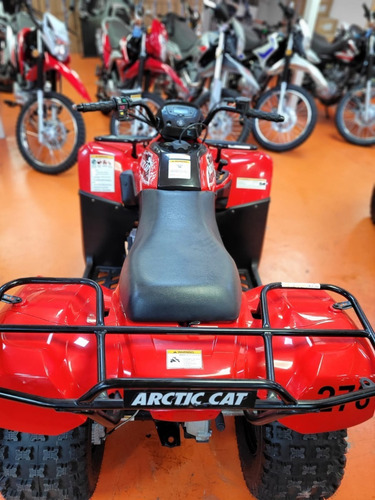 Imagen 6 de 7 de Artic Cat 300 Parrilla 2015 Automatico Tamburrino Moto
