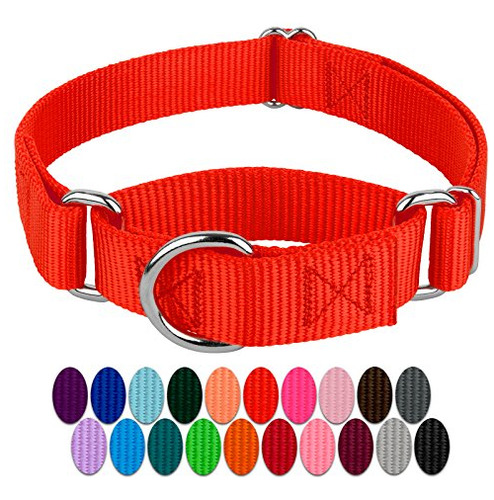 Country Brook Petz  Collar Para Perro De Nailon Resistent