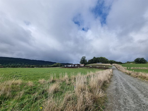 Parcelas Con Vista Al Lago Y Volcan En Venta En Puerto Varas