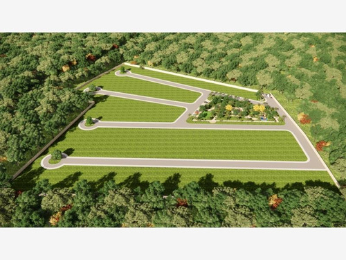 Imagen 6 de 9 de Terreno En Venta Cholul