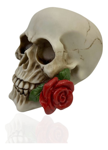 Caveira Decorativa Crânio Rosa Gótico E Único
