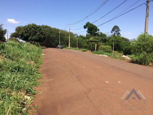 Imagem 5 de 6 de Terreno À Venda, 260 M² Por R$ 75.000,00 - Belleville - Londrina/pr - Te0246