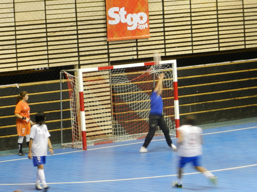Imagen 2 de 3 de Red De Baby Futbol O Futsal Patagoon