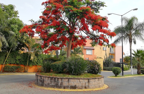 Venta De Casa En Recuperacion, Priv, San Juan, Emiliano Zapata. Morelos. Sh05