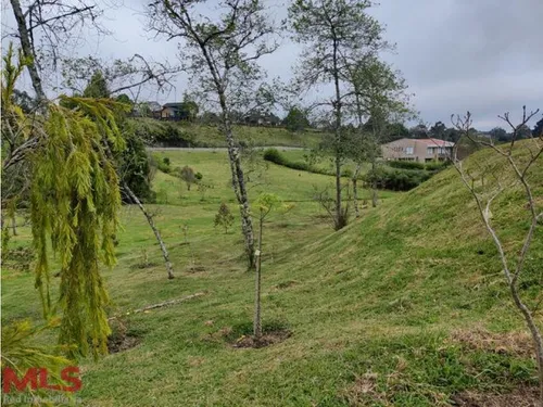 Hermoso Lote En Lindisima Parcelacion.(mls#239089)