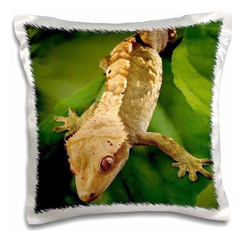 3d Rosa Nueva Caledonia Crested Gecko Lizard-na02 Mpr0086-ma