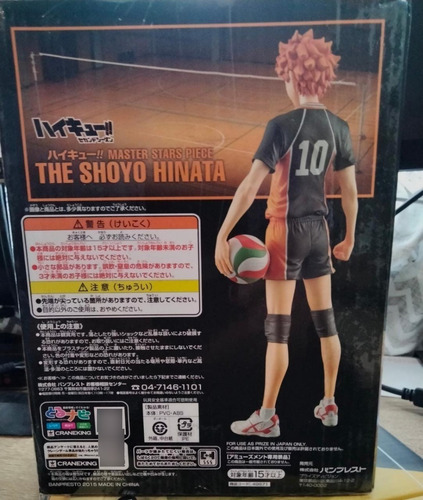 Haikyuu Shoyo Hinata Figura Original