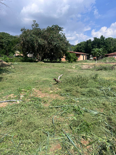 En Venta Excelente Terreno Residencial En Guataparo (al)
