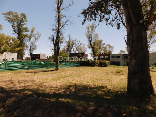 Imagen 3 de 16 de Terreno Lote En Venta Ubicado En Álvarez Del Bosque (francisco Alvarez), Moreno, G.b.a. Zona Oeste