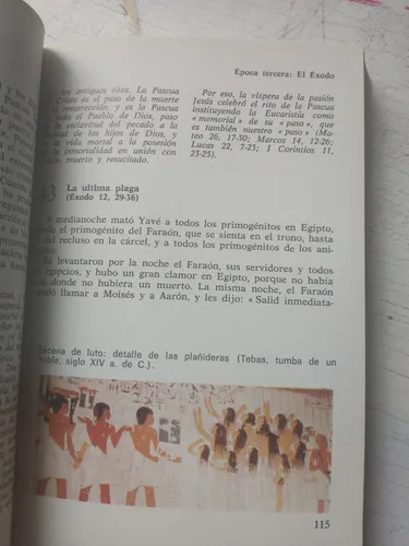 La Historia De La Salvacion En El Antiguo Testamento (Usado)