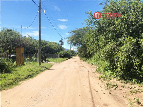 Terreno - Cerro De Oro