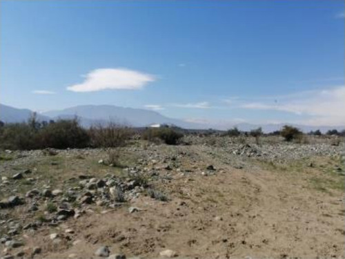 Agrícola En Venta En Mostazal