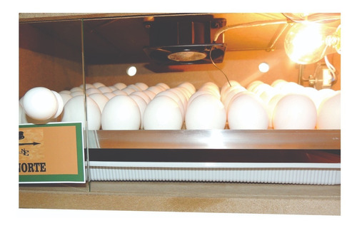 Chocadeira 90 Ovos, Rolagem Automática, Ovoscopia,+ Brinde.