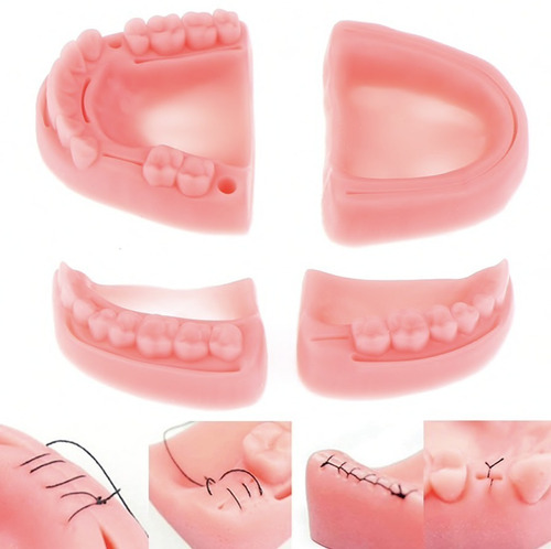 Kit Práctica Sutura Cirujano Dentista - 4 Modelos - Dental