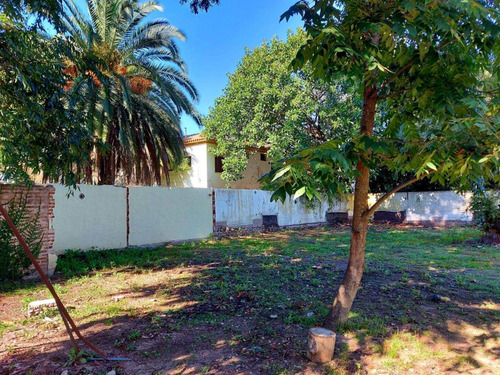 Imagen 5 de 7 de Terreno En Venta En Bella Vista