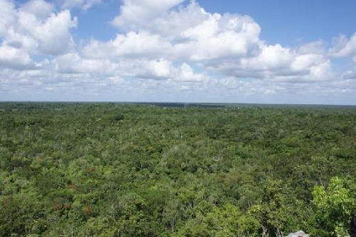 Imagen 3 de 7 de Terreno En Venta En Tulum