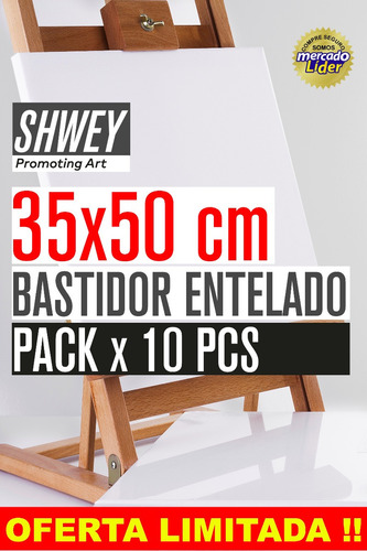 Pack X 10 Bastidor Entelado Shwey 35x50 !! Envio Gratis !!