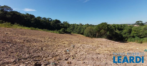 Imagem 7 de 7 de Terreno - Jardim Currupira - Sp - 630344