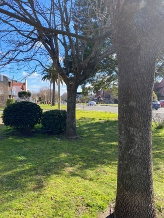Imagen 27 de 29 de Venta De Casa 5 Ambientes Barrio San Carlos, Mar Del Plata.