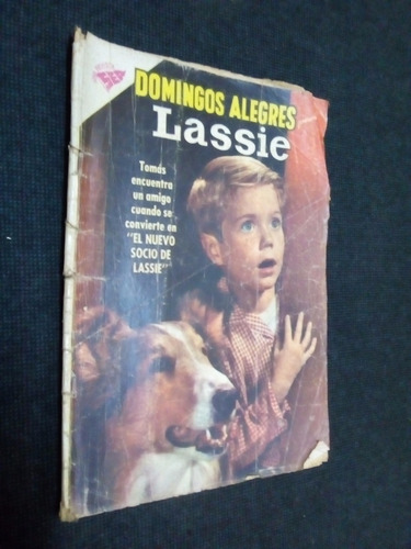 Domingos Alegres Lassie N° 325