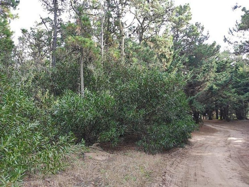 Imagen 4 de 6 de Dos Lotes De 1.350 M2 Totales, Venta Indval/block - Mar De Las Pampas | Cod.0688 |
