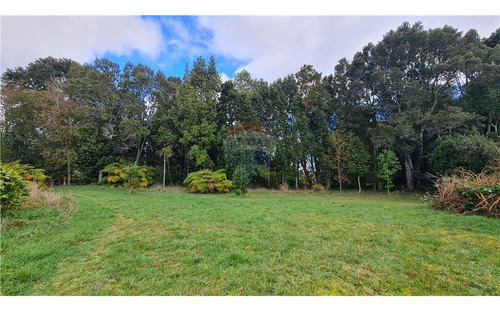 Hermosa Parcela Con Estero En Puerto Varas