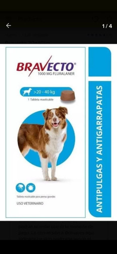 Pastillas Bravecto Antigarrapata Para Perros De 20 A 40 Kgs 