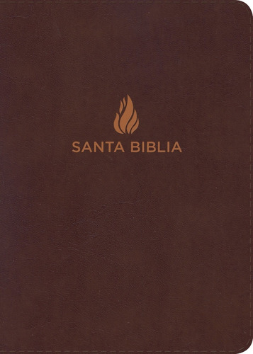 Biblia Reina Valera 1960 Letra Grande Piel Marron 21 X 15 Cm