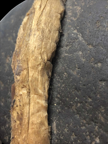 Tomahauk Antiguo Utilizada X Indios Encontrada En Texas Usa (Usado)