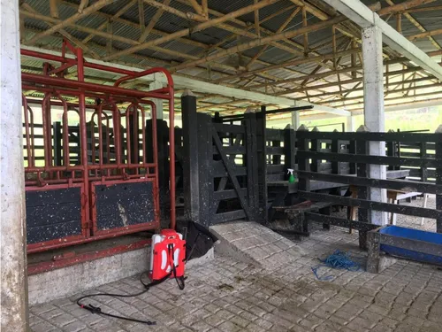 Vendo Finca En Tarapaca 80 Cuadras, Santa Rosa, Risaralda