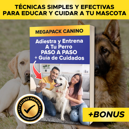 Cursos De Adiestramiento Indumentaria Y Pastelería Canina