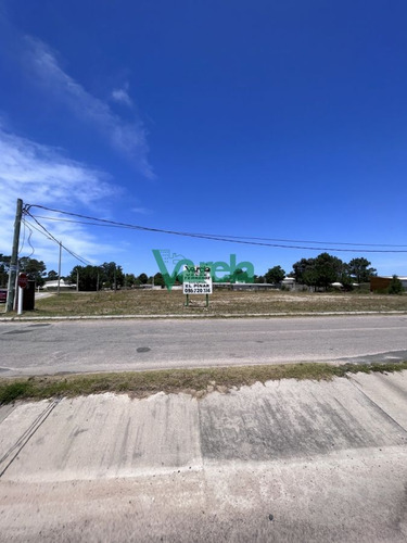 Imagen 10 de 13 de Terrenos En Venta El Pinar Vista Sobre Interbalnearia. (financia)