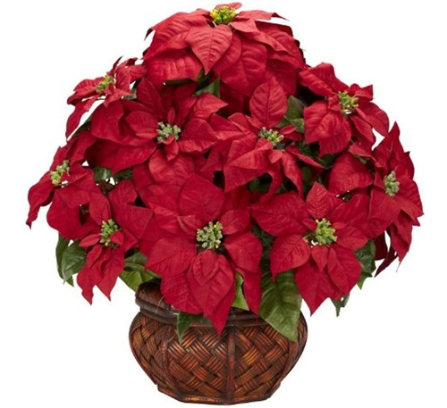 Casi Natural 1265 Poinsettia Con Macetas Seda El Arreglo De