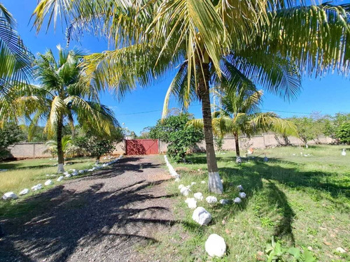 Venta Amplio Terreno De 6000 M2 Tahdzibichen, Merida, Yucatan.