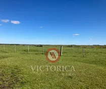 Comprar ¡excelente Inversión En Artigas! Campo Ganadero, Casa Principal, Casa Personal, Casa Capataz, Ecepcional Plan De Financiación.