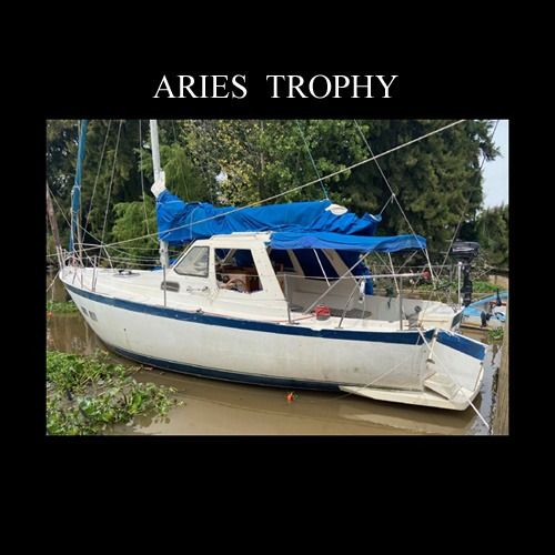 Motovelero Aries Trophy 