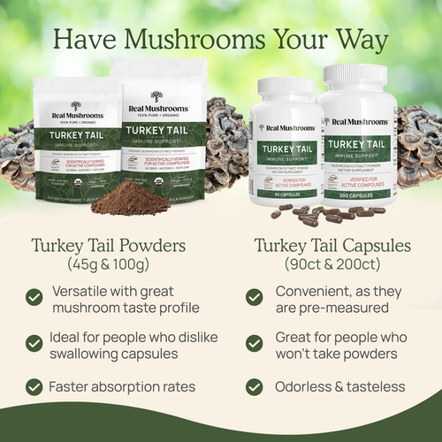 Real Mushrooms Polvo Turkey Tail Orgánico 100 Dosis Vegano