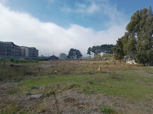Terreno 13.800 Mt2 En Coronel