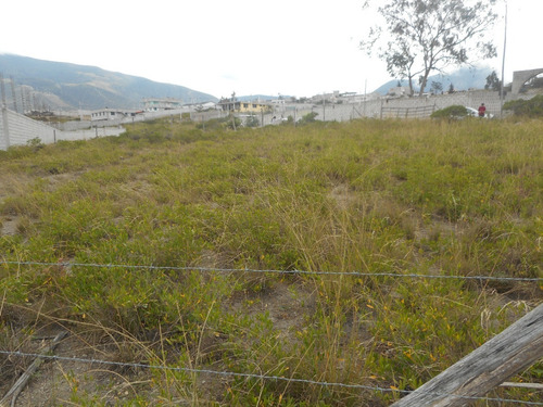 Imagen 7 de 14 de Terreno 1100 M2 En Coop. Huasipungo (sector Mitad Del Mundo) 62k Negociable!!