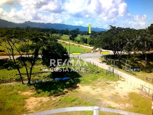 Imagen 14 de 15 de En Venta Finca De 45 Hectáreas De Terreno Plano, A Orilla De Carretera En El Alto, Yaracal.