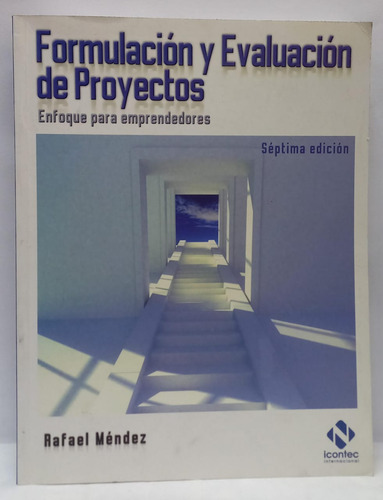 Libro Formulacion Y Evaluacion De Proyectos 