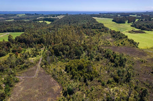 Parcela De 6mil M2 En Minte - Puerto Varas