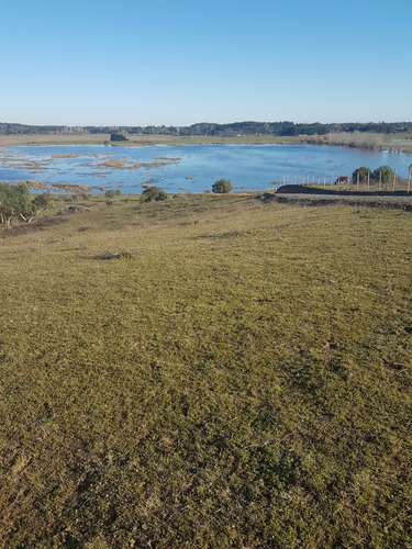 Vendo Excelente Parcela 5000 M2, Ubicada En Lomas De Angol.