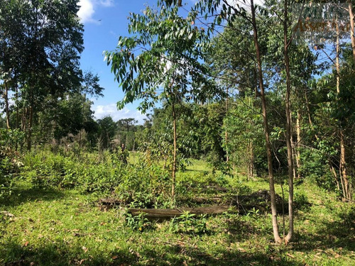 Imagem 6 de 15 de Chácara Para Venda Em Parobé - Cwvcr041_2-1122322