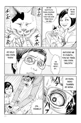 Imagen 4 de 6 de El Diario Gatuno De Junji Ito
