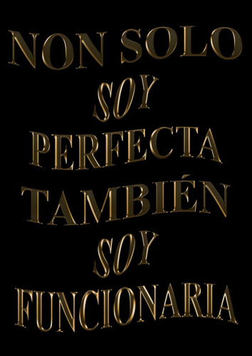 Libro: Non Solo Soy Perfecta, También Soy Funcionaria: Agend