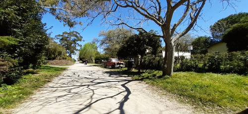 Imagen 2 de 9 de Casa En Punta Indio