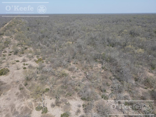 Campo En Venta 4100 Has.santiago Del Estero.apto Bonos Verde