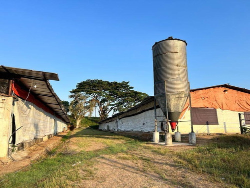 Imagen 10 de 15 de Rp Vende Finca Granja Avícola, Miranda, Estado Carabobo Rp 185.862